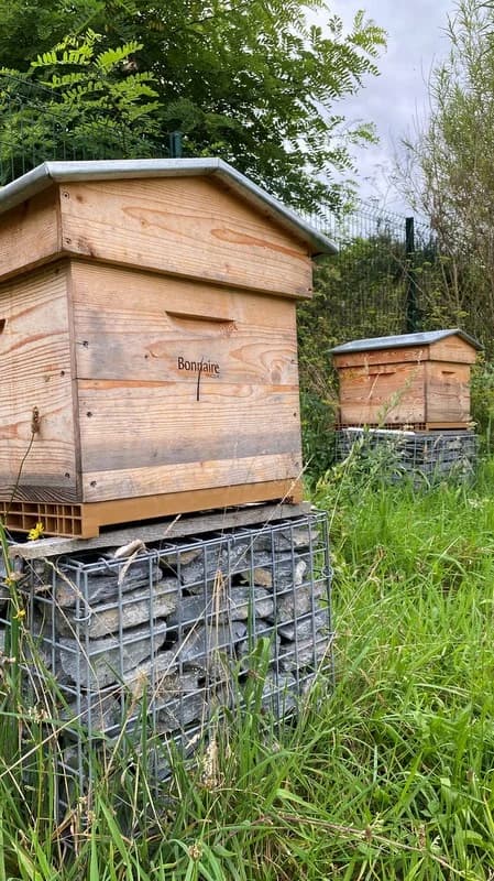 Bonnaire Potager Miel003