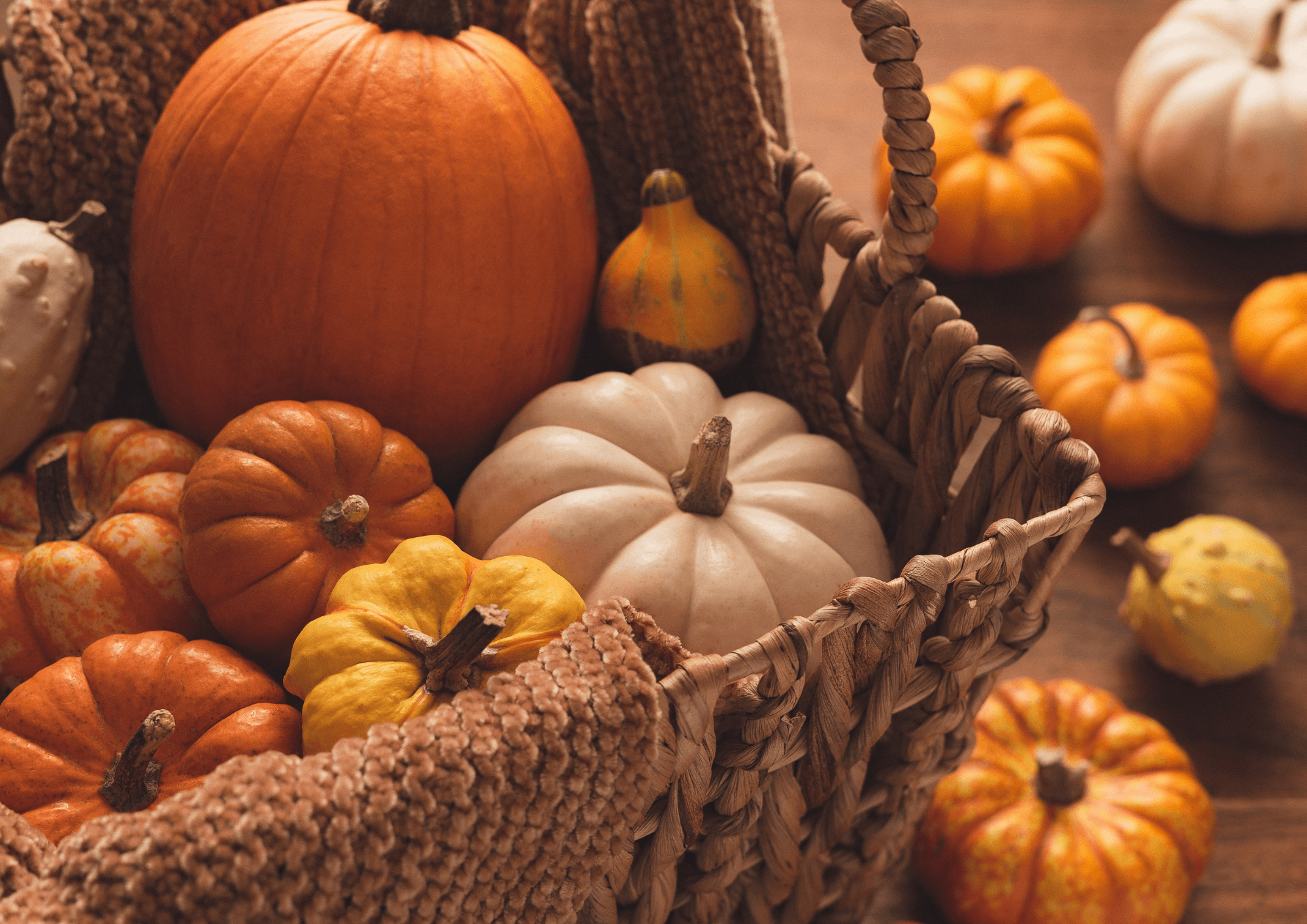 Gâteau Géant D’anniversaire