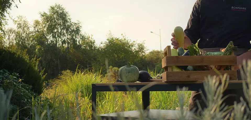 Bonnaire Rse Potager